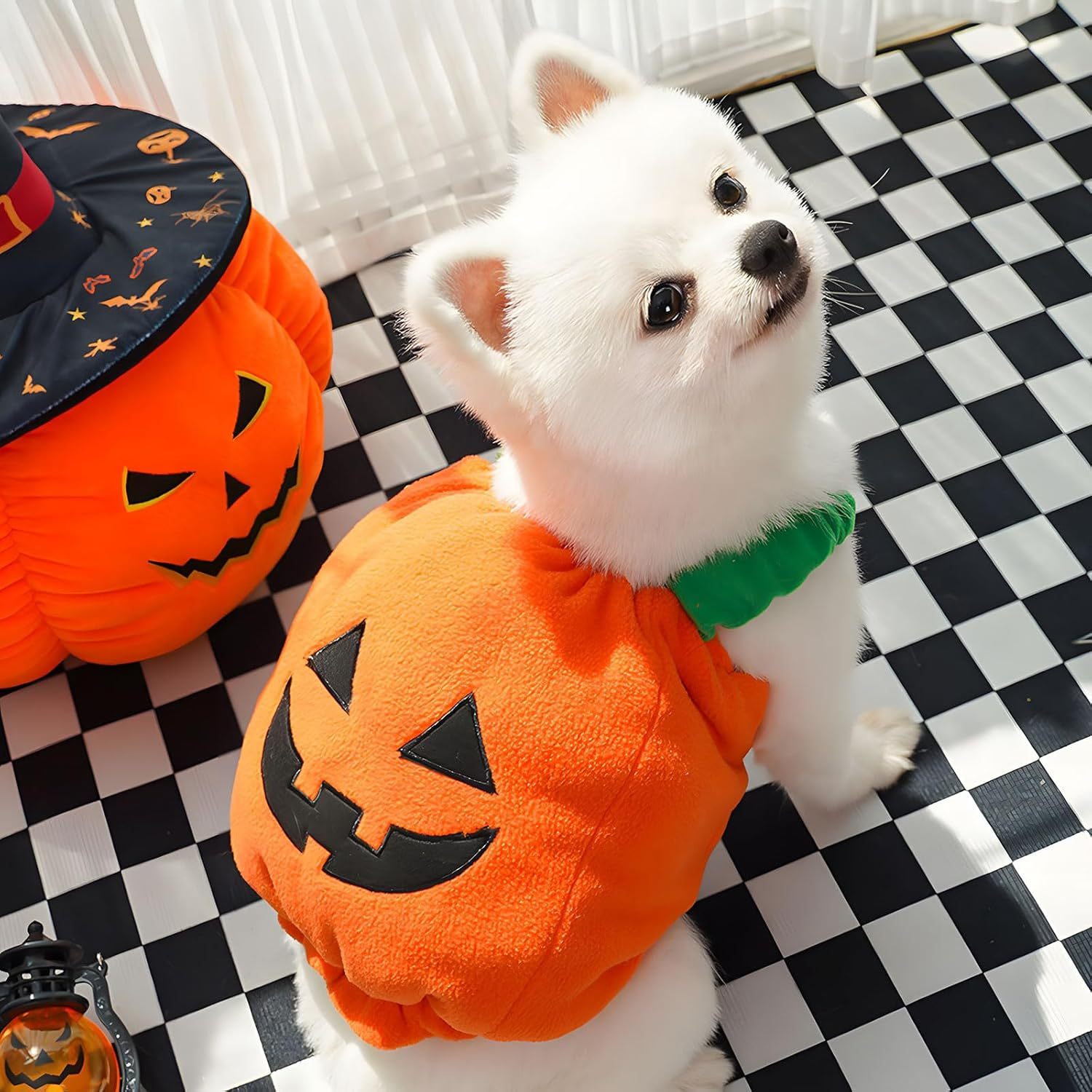 Funny Pumpkin Dog Halloween Costume Pet Dog Cat - Bellarte Enchanté Funny Pumpkin Dog Halloween Costume Pet Dog Cat